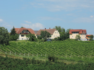 Weinhof reichmann