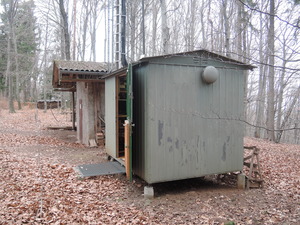 Haueserl im wald